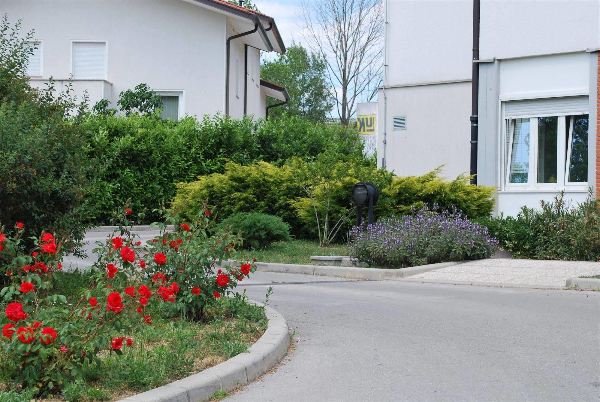 Bed And Breakfast Kogoj Nova Gorica Exteriér fotografie